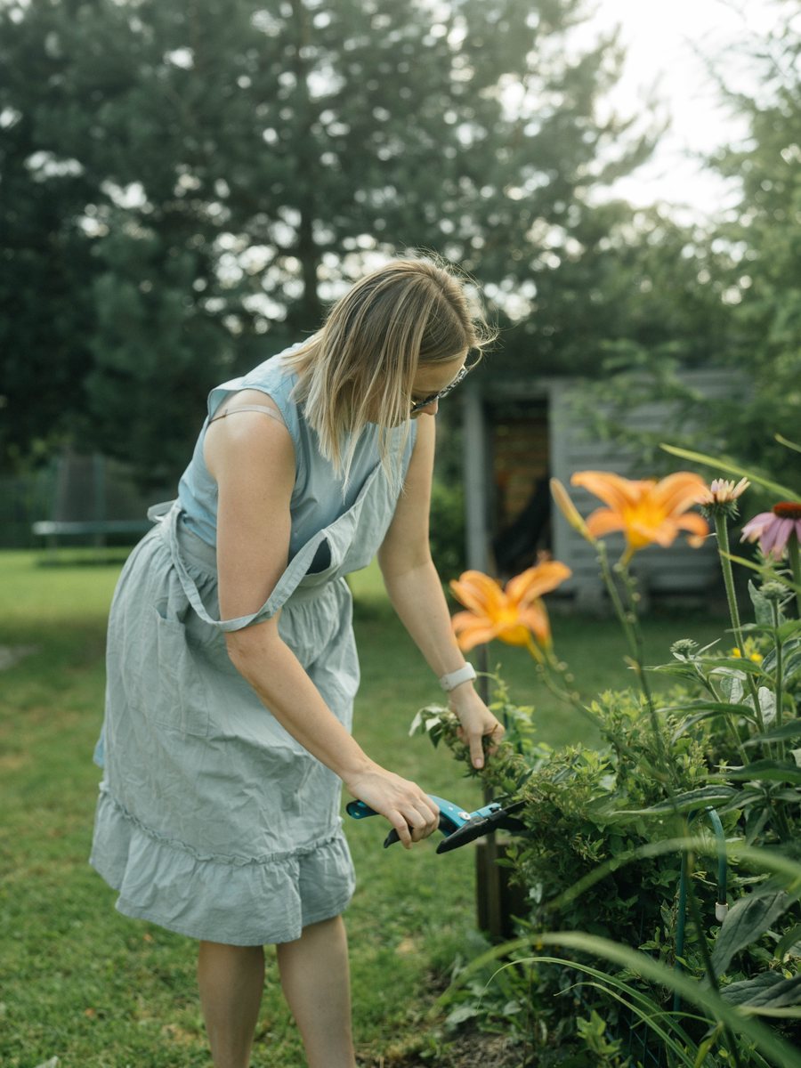 Katya pruning in the garden